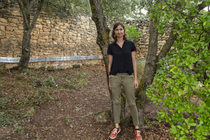 vinya. El celler Mas Blanch i Jové ha plantat en els últims anys set hectàrees més de vinya i ara ja en tenen vint-i-cinc.