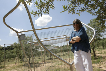 vinya. El celler Mas Blanch i Jové ha plantat en els últims anys set hectàrees més de vinya i ara ja en tenen vint-i-cinc.