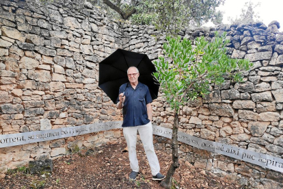 vinya. El celler Mas Blanch i Jové ha plantat en els últims anys set hectàrees més de vinya i ara ja en tenen vint-i-cinc.