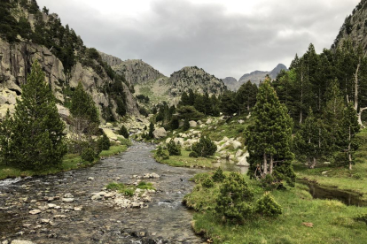 ALTA MUNTANYA. Blocs de granit, pedreres i camins es barregen en cada una de les etapes.