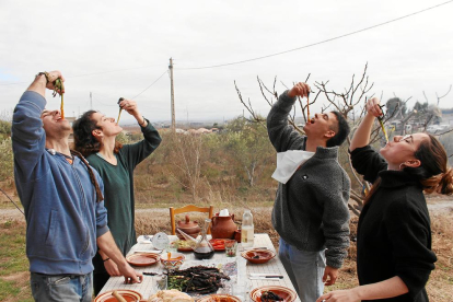 a mà. Els calçots s’acostumen a collir a mà i es trien un a un.