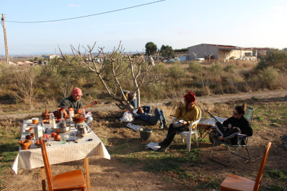 a mà. Els calçots s’acostumen a collir a mà i es trien un a un.