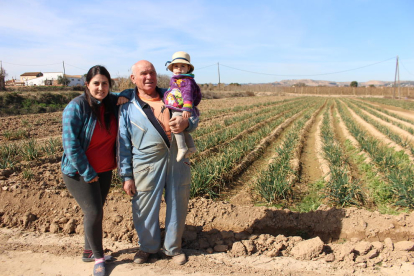 a mà. Els calçots s’acostumen a collir a mà i es trien un a un.