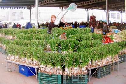 a mà. Els calçots s’acostumen a collir a mà i es trien un a un.