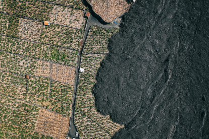 Zones de conreu s'han quedat sense accés a l'aigua.