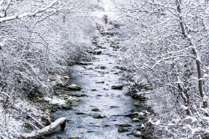 Riu Lladorre. El petit riu neix als plans de Boavi, dins el Parc Natural de l'Alt Pirineu, i baixa per una vall estreta fins a Tavascan, on conflueix amb la Noguera de Cardós.