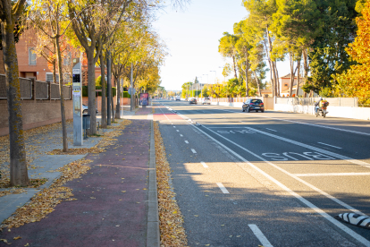 Demanen posar una plataforma en una parada de bus de Rovira Roure