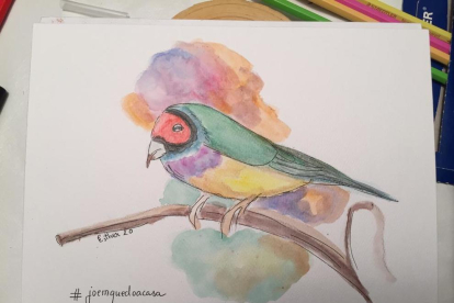 Aquest ocell està elaborat amb llapissos aquareables i tinta.
