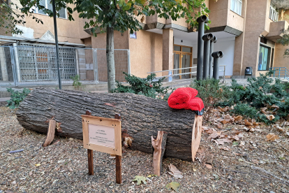 El tronc commemoratiu era d’un dels grans arbres que la Paeria va talar fa unes setmanes.