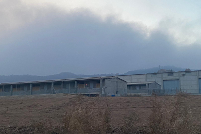 Una granja de bestiar al municipi d’Olius, un dels afectats per les restriccions.