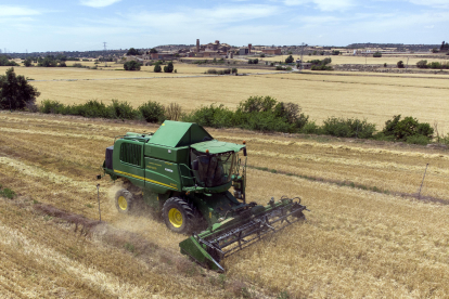 Imatge de treballs de collita de cereal el mes de juny passat a Sant Martí de la Morana.