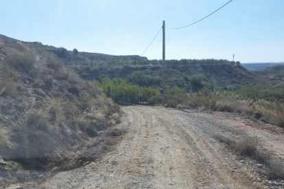 Un dels camins que es milloraran a Aitona.