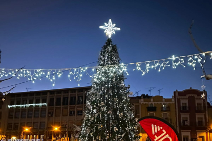 Veïns de Balaguer van anar ahir a defensar el seu arbre.