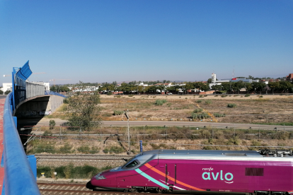 Un tren Avlo, el servei low-cost de Renfe, al seu pas per Lleida.