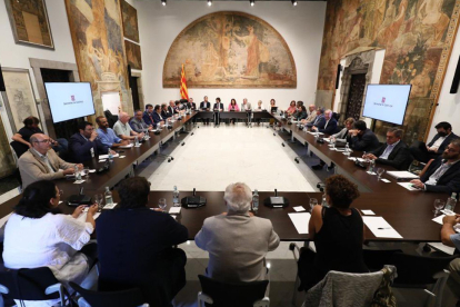 Una vista general de la reunió de la Taula de representació territorial del projecte celebrada el 2022.