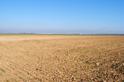 La parcel·la en la qual es preveu la instal·lació dels panells solars.