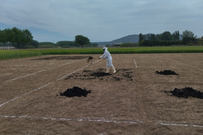 Fertilització d’un camp utilitzant els llots.