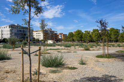 Imatge d’arxiu del que ha de ser el Parc de les Arts.