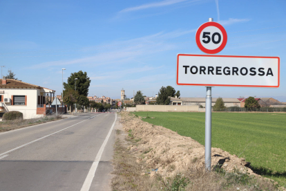 La batuda va tenir lloc ahir a Torregrossa.