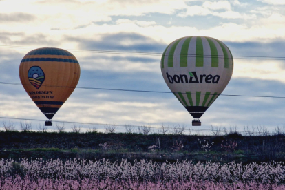 Globus a Aitona per veure la floració des de l'aire
