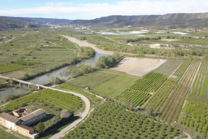 Les finques inundades pel riu Cinca a l’Aiguabarreig diumenge a vista de dron.