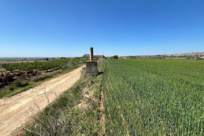 La planta de biogàs està projectada en aquests terrenys propers al Camí de Sant Jaume.