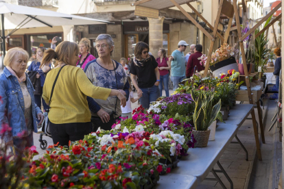 El Mercat de les Flors omple la plaça Major