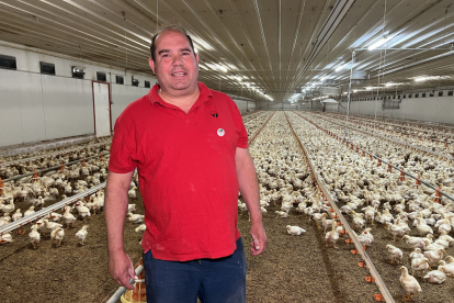 Néstor Serra en una de les seues granges de producció de pollastres a la comarca del Segrià.