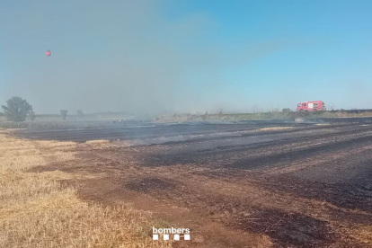 L’incendi de Vallfogona es va declarar ahir a la tarda i va calcinar un camp de cereal segat.