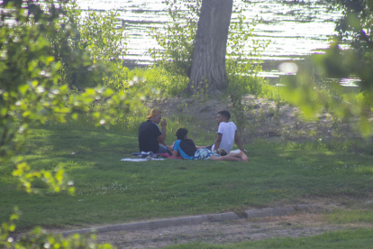 Joves es protegeixen de la calor sota l’ombra dels arbres.