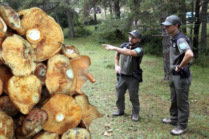 La bona temporada boletaire torna a situar la regulació dels bolets en el punt de mira