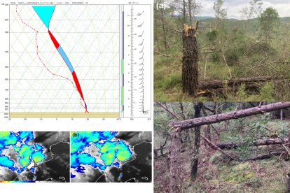 Així va ser el tornado de Mura, d'intensitat IF1,5 i que va registrar vents de fins a 180 km/h