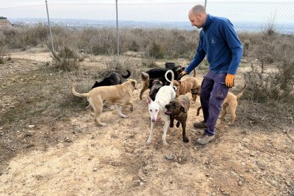 Un dels cuidadors professionals amb gossos del Refugi dels Peluts