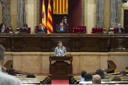 La síndica d'Aran, Maria Vergés, durant una intervenció al ple Parlament.