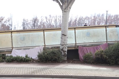 Campamento de personas sin hogar en plena avenida del Segre