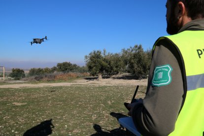 Un pilot de dron dels Agents Rurals enlaira un aparell a Verdú.