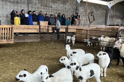 Els alumnes de l'Escola de Pastors en una classe pràctica en una granja a Enviny.