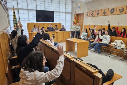 Van simular unes eleccions i un ple. - CONSELL COMARCAL DE L’URGELL