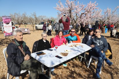 Imatges dels primers atmetllers florits a Arbeca