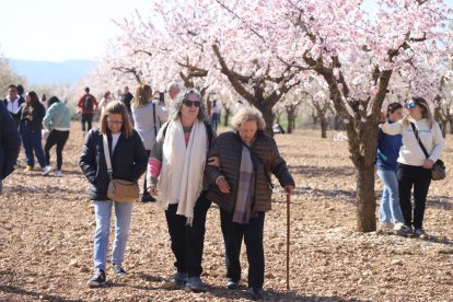 Imatges dels primers atmetllers florits a Arbeca