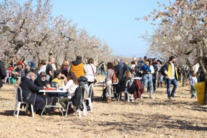 Imatges dels primers atmetllers florits a Arbeca