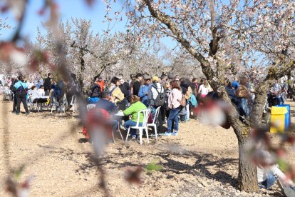 Imatges dels primers atmetllers florits a Arbeca