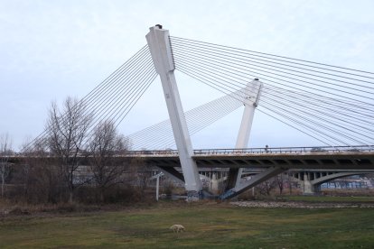 símbol. El pont de Príncep de Viana s’ha convertit en un dels símbols del paisatge de la ciutat de Lleida