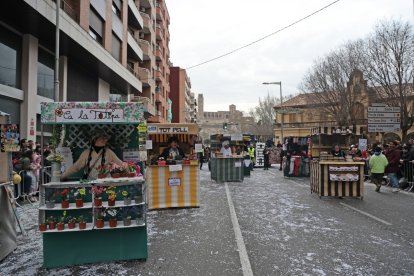 Imatges de la rua de Carnaval de Lleida