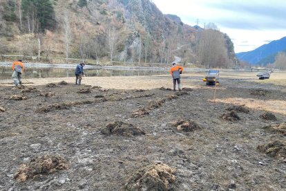 Operaris retirant elodea del pantà de la Torrassa