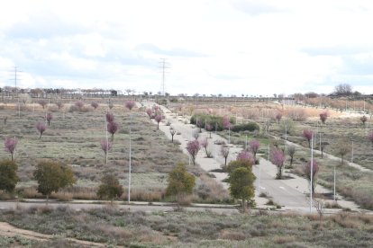 Vista de part dels terrenys de Torre Salses on Promenade projecta la seua àrea comercial. - MAGDALENA ALTISENT