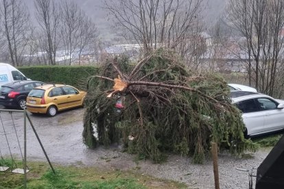 Un árbol arrancado por el viento en una calle de Vielha.
