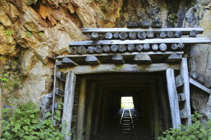 canaris a les mines - PIXABAY