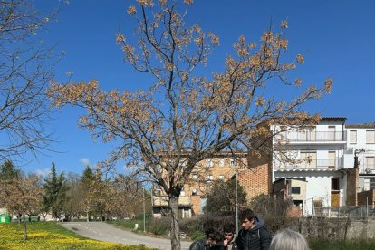 El Jardí de les Roques va acollir una prova d’equip de la fase estatal de l’olimpíada de Geologia.