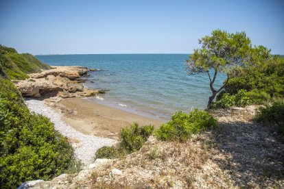 Una petita cala rocosa a Alcanar.